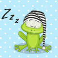 FrogSleep