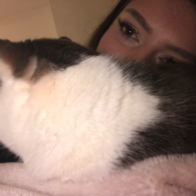 HoneyXX