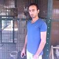 35KaRiZMa_35