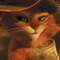 Stupidcat