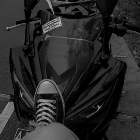 Metissss