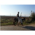 AGİT3476