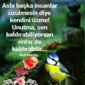 Eeehnnbsbb
