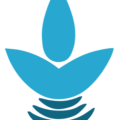 birliksafsu