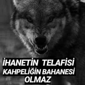 Samsunapalim