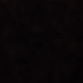 bato_33