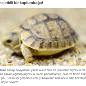 HayriyeÖziskender