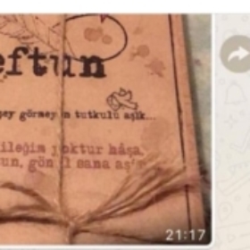 Betularinci