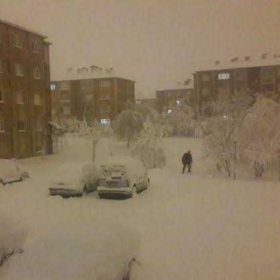 kartanesiben
