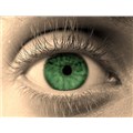 Green_Eyes