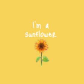 sunflowerinspace