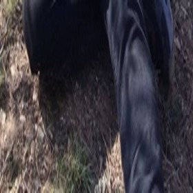 emretlkl18