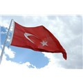 sempatik_adam