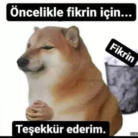 frybs