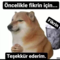 frybs