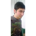 Haşere
