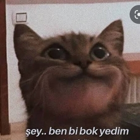 Jsjsjsksksjsjs