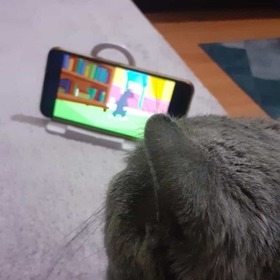AhmtCagri