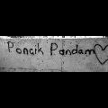 pandaseven_