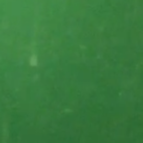benferokingkong23