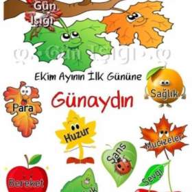 Timocan