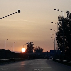 berdogan07
