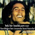 dogulu21