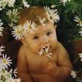 belsimam