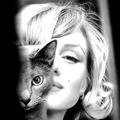 Tinykitty
