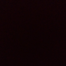 canimbenaleynaa