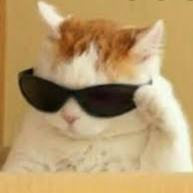 ben_nehir0