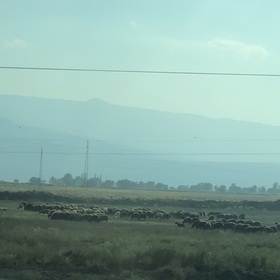 Anormalbirsi