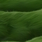 shytkfkje