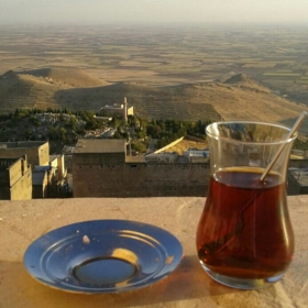 sergnnn