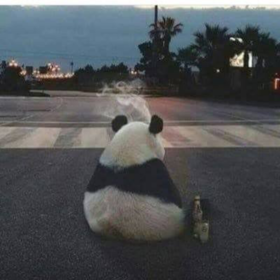 Yıkık_1_ponçik