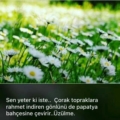 Huzurakoş