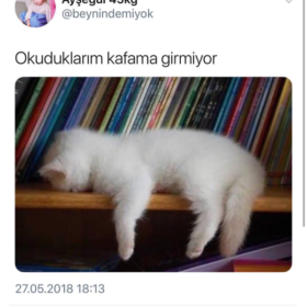 danspisti