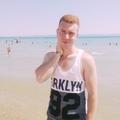 HollandalıKuzu