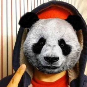 sertpanda1