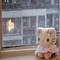 minikitty