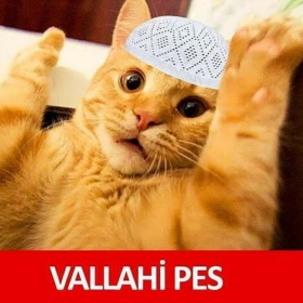 bicareyim159