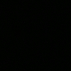 elanurr1