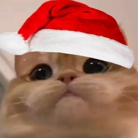 miniktatlikedi