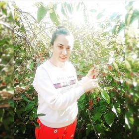 elif12345678910