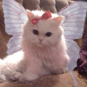 demon_1