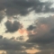 Kırmızısarap09