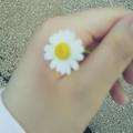 Ramope