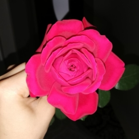 ruhsuzkelebek76