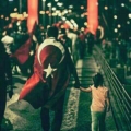 asimelek06
