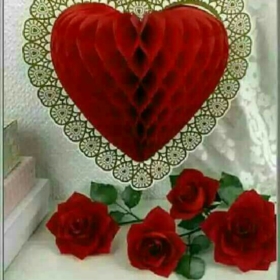 mirzan12